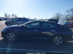 2016 Nissan Maxima 3.5 Sl Black vin: 1N4AA6AP6GC434969