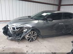 2016 Nissan Maxima 3.5 S Gray vin: 1N4AA6AP6GC436012