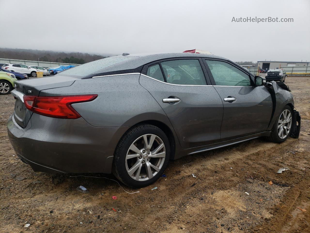 2016 Nissan Maxima 3.5s Серый vin: 1N4AA6AP6GC905387