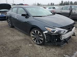 2017 Nissan Maxima 3.5s Gray vin: 1N4AA6AP6HC377741