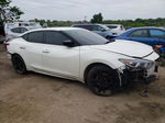 2017 Nissan Maxima 3.5s White vin: 1N4AA6AP6HC439896