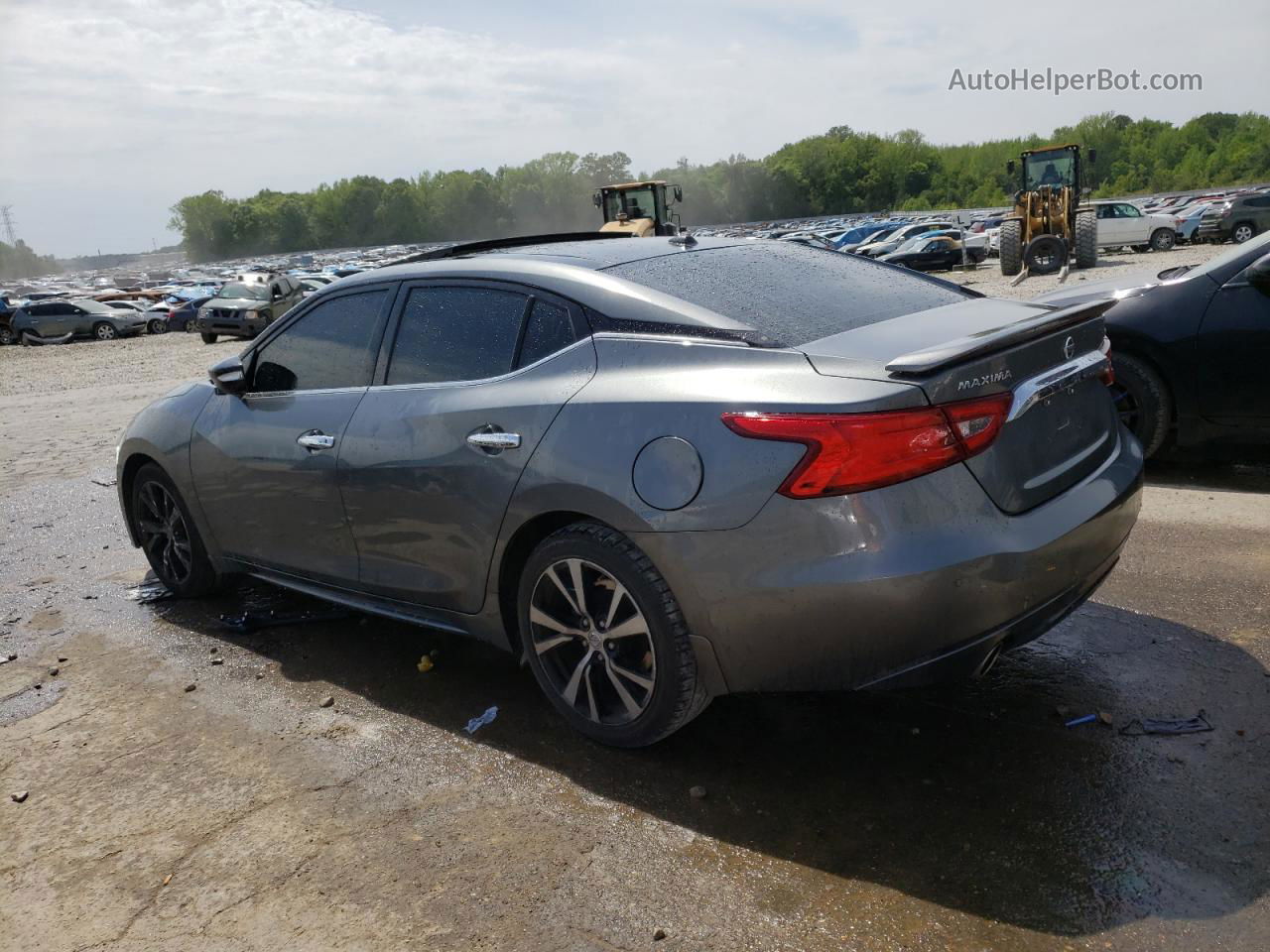 2017 Nissan Maxima 3.5s Gray vin: 1N4AA6AP6HC453118