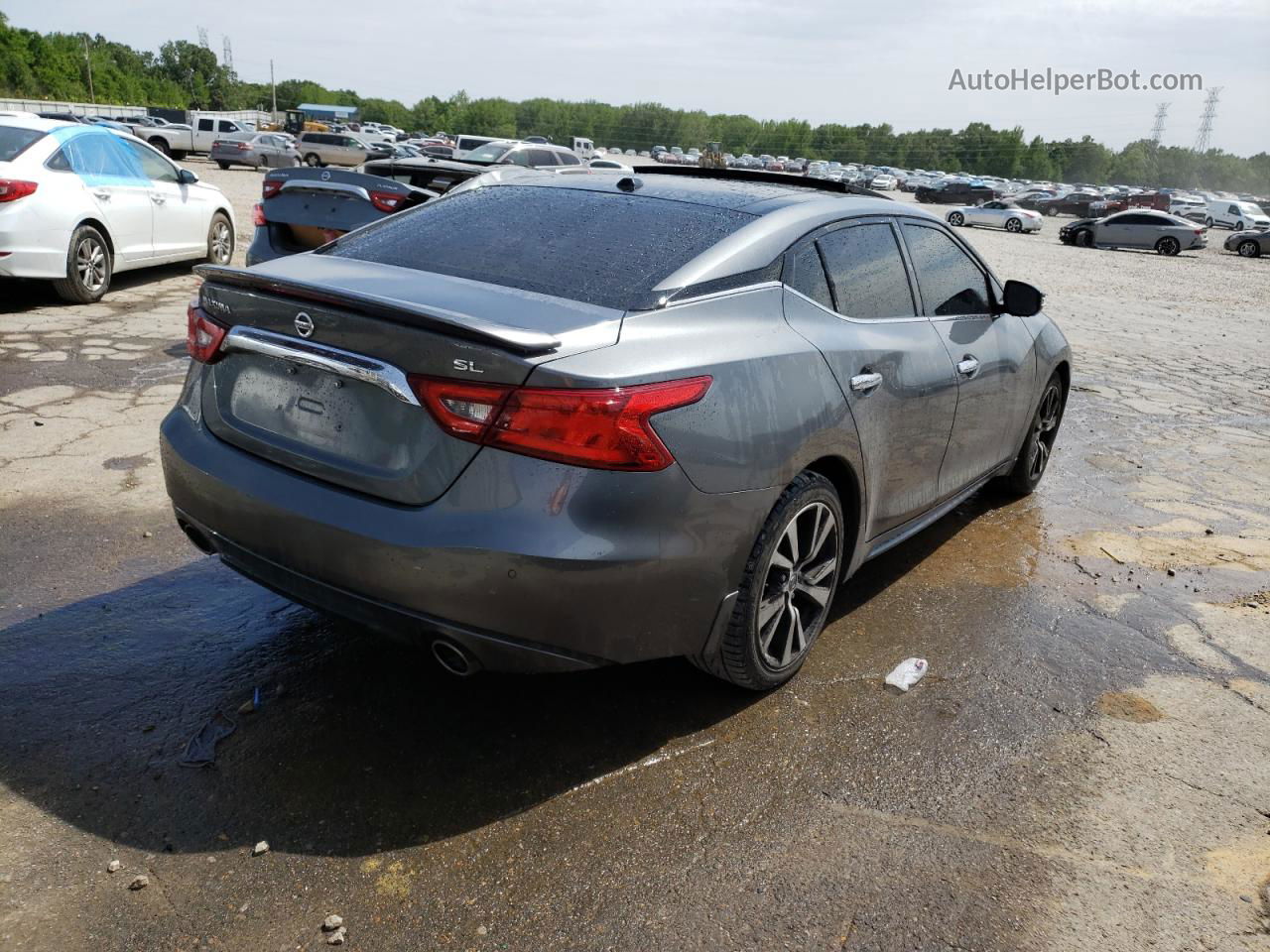 2017 Nissan Maxima 3.5s Gray vin: 1N4AA6AP6HC453118