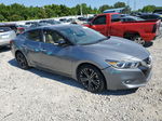 2016 Nissan Maxima 3.5s Gray vin: 1N4AA6AP7GC406436