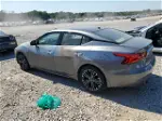 2016 Nissan Maxima 3.5s Gray vin: 1N4AA6AP7GC406436