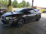 2016 Nissan Maxima 3.5s Charcoal vin: 1N4AA6AP7GC407019