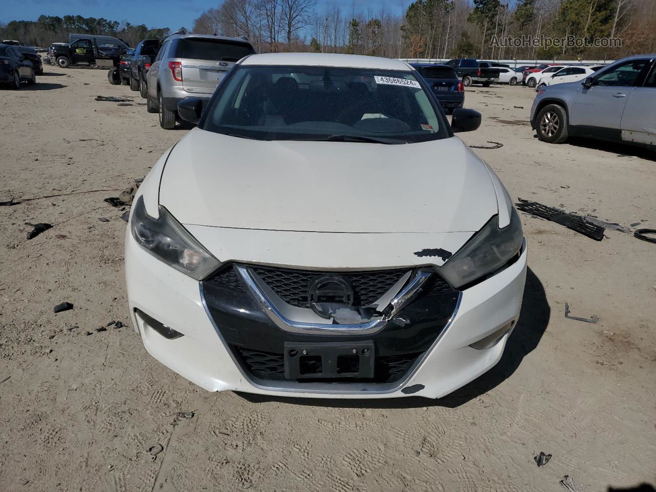 2016 Nissan Maxima 3.5s White vin: 1N4AA6AP7GC413998