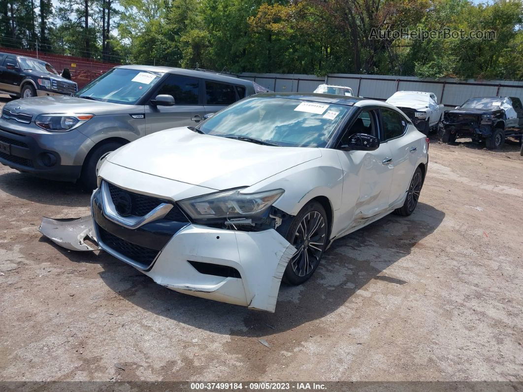 2016 Nissan Maxima 3.5 Sl White vin: 1N4AA6AP7GC419655