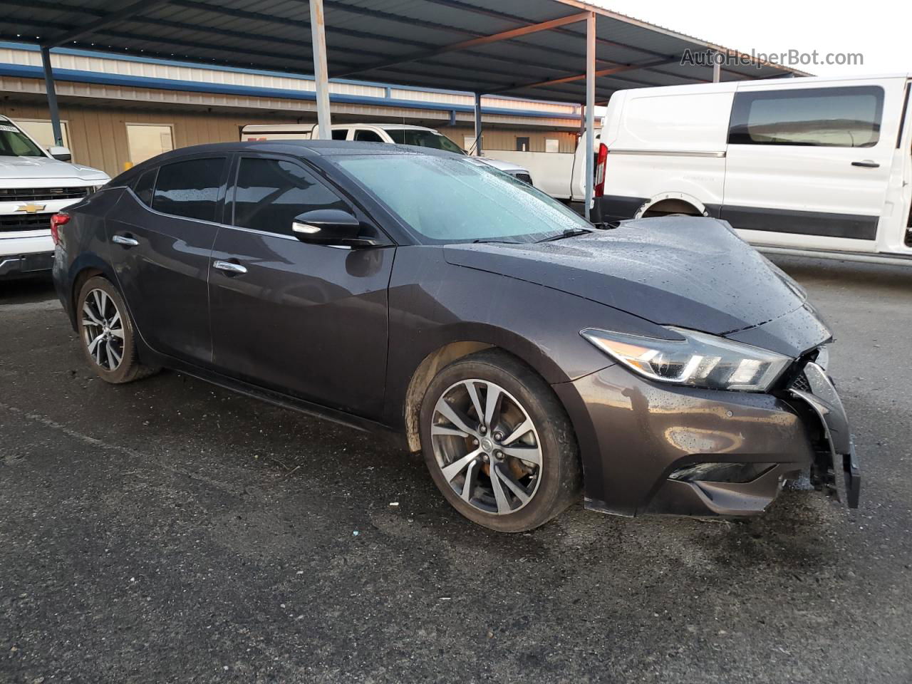 2017 Nissan Maxima 3.5s Серый vin: 1N4AA6AP7HC371544