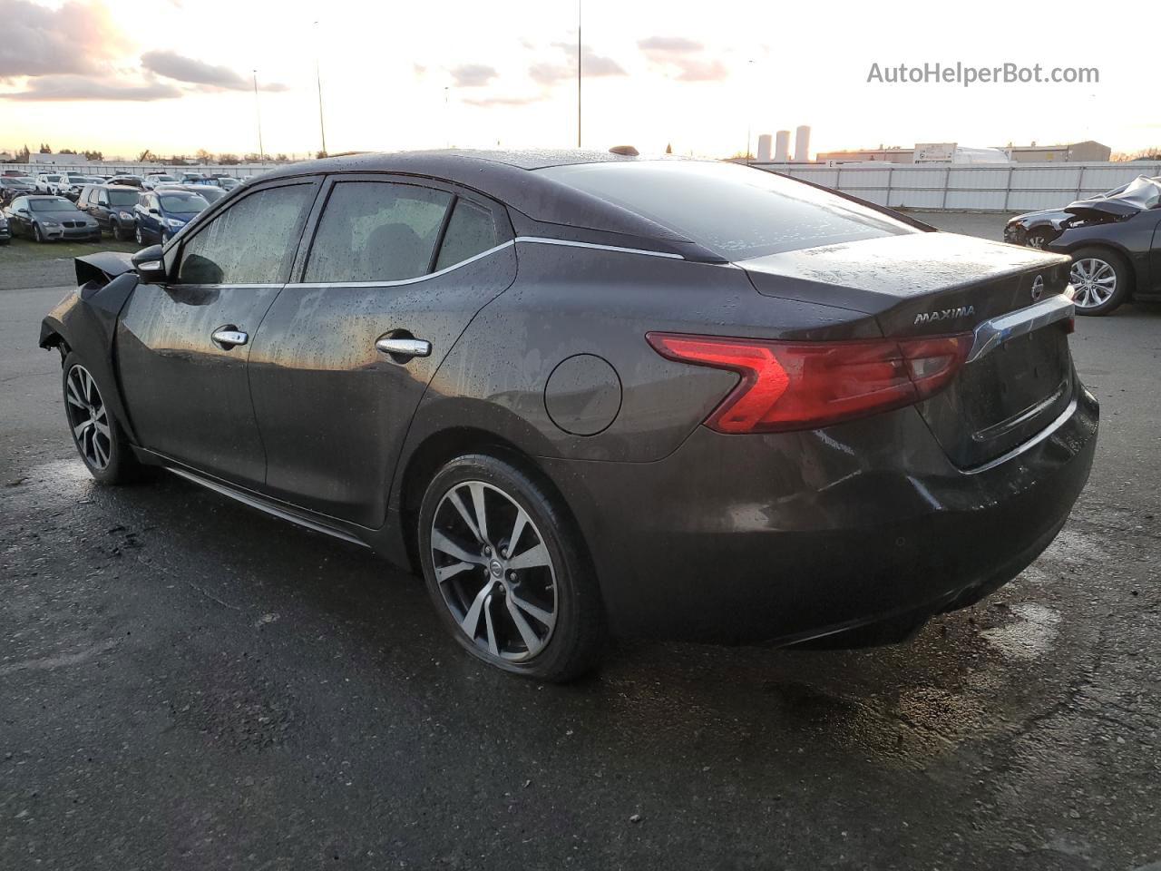 2017 Nissan Maxima 3.5s Серый vin: 1N4AA6AP7HC371544