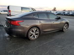 2017 Nissan Maxima 3.5s Серый vin: 1N4AA6AP7HC371544