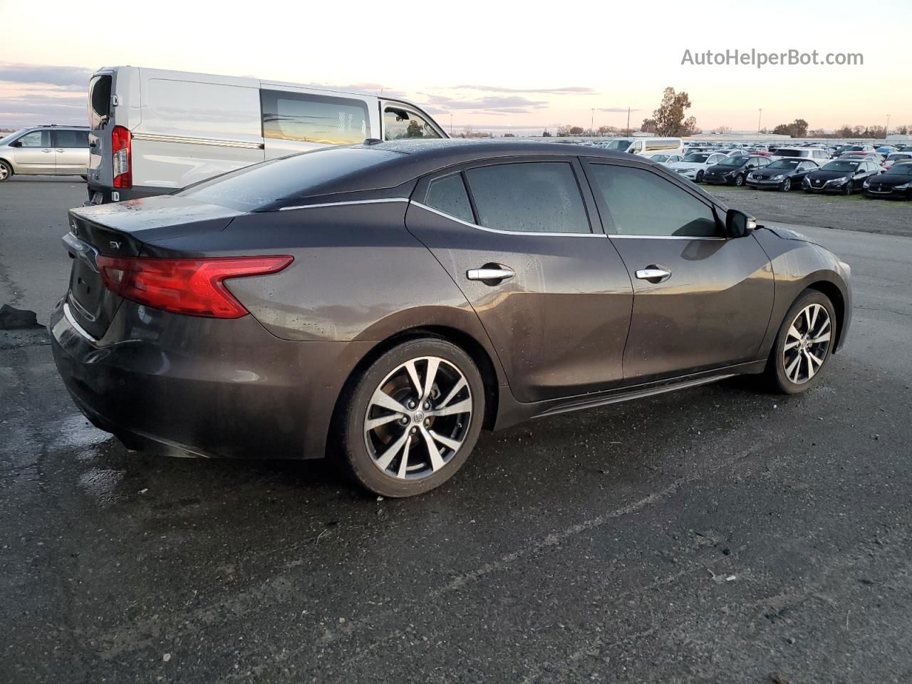 2017 Nissan Maxima 3.5s Gray vin: 1N4AA6AP7HC371544