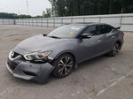 2017 Nissan Maxima 3.5s Серый vin: 1N4AA6AP7HC374637