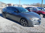 2017 Nissan Maxima 3.5 S Серый vin: 1N4AA6AP7HC383032