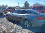 2017 Nissan Maxima 3.5 S Серый vin: 1N4AA6AP7HC383032