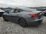 2017 Nissan Maxima 3.5s Gray vin: 1N4AA6AP7HC394418