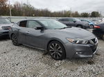 2017 Nissan Maxima 3.5s Gray vin: 1N4AA6AP7HC394418