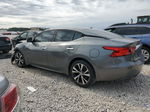 2017 Nissan Maxima 3.5s Серый vin: 1N4AA6AP7HC419558