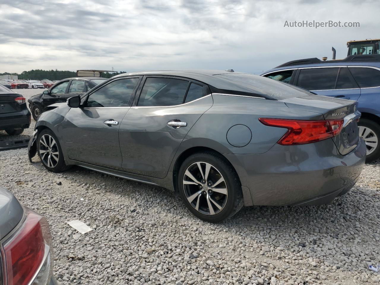 2017 Nissan Maxima 3.5s Серый vin: 1N4AA6AP7HC419558