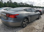 2017 Nissan Maxima 3.5s Gray vin: 1N4AA6AP7HC419558