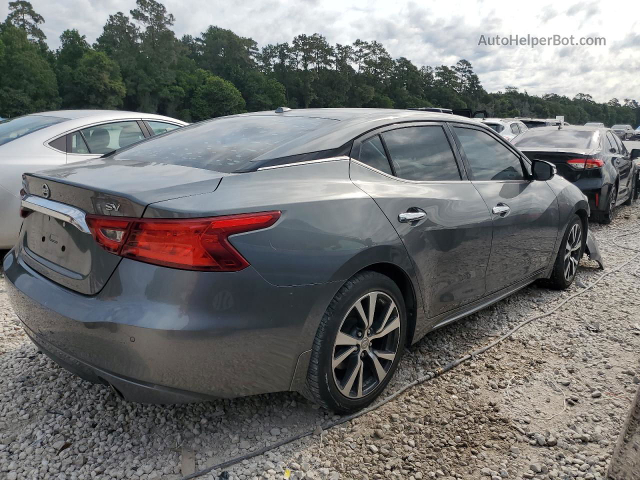 2017 Nissan Maxima 3.5s Gray vin: 1N4AA6AP7HC419558