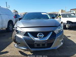 2017 Nissan Maxima 3.5 S Gray vin: 1N4AA6AP7HC422900