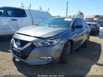 2017 Nissan Maxima 3.5 S Серый vin: 1N4AA6AP7HC422900