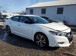 2017 Nissan Maxima 3.5s White vin: 1N4AA6AP7HC447571