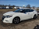 2017 Nissan Maxima 3.5s White vin: 1N4AA6AP7HC447571