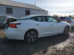 2017 Nissan Maxima 3.5s White vin: 1N4AA6AP7HC447571