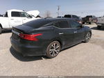 2016 Nissan Maxima 3.5 Sl Gray vin: 1N4AA6AP8GC381305