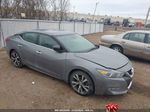 2016 Nissan Maxima 3.5 Platinum/3.5 S/3.5 Sl/3.5 Sr/3.5 Sv Серый vin: 1N4AA6AP8GC401522