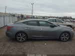 2016 Nissan Maxima 3.5 Platinum/3.5 S/3.5 Sl/3.5 Sr/3.5 Sv Серый vin: 1N4AA6AP8GC401522