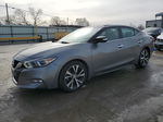 2016 Nissan Maxima 3.5s Gray vin: 1N4AA6AP8GC402959