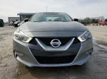 2016 Nissan Maxima 3.5s Gray vin: 1N4AA6AP8GC402959