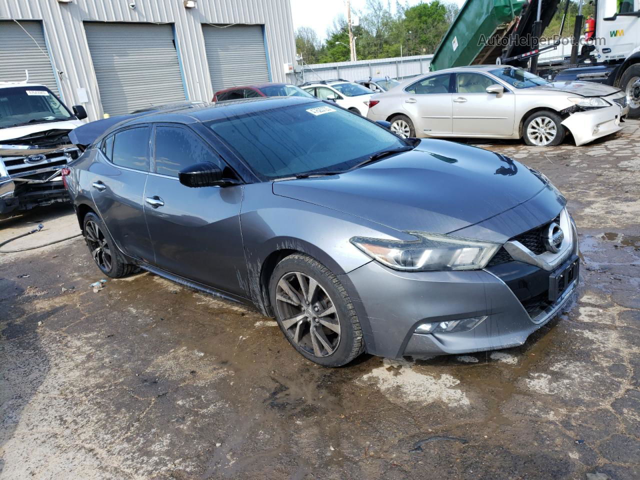 2016 Nissan Maxima 3.5s Gray vin: 1N4AA6AP8GC407708