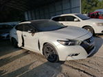 2016 Nissan Maxima 3.5s White vin: 1N4AA6AP8GC422872