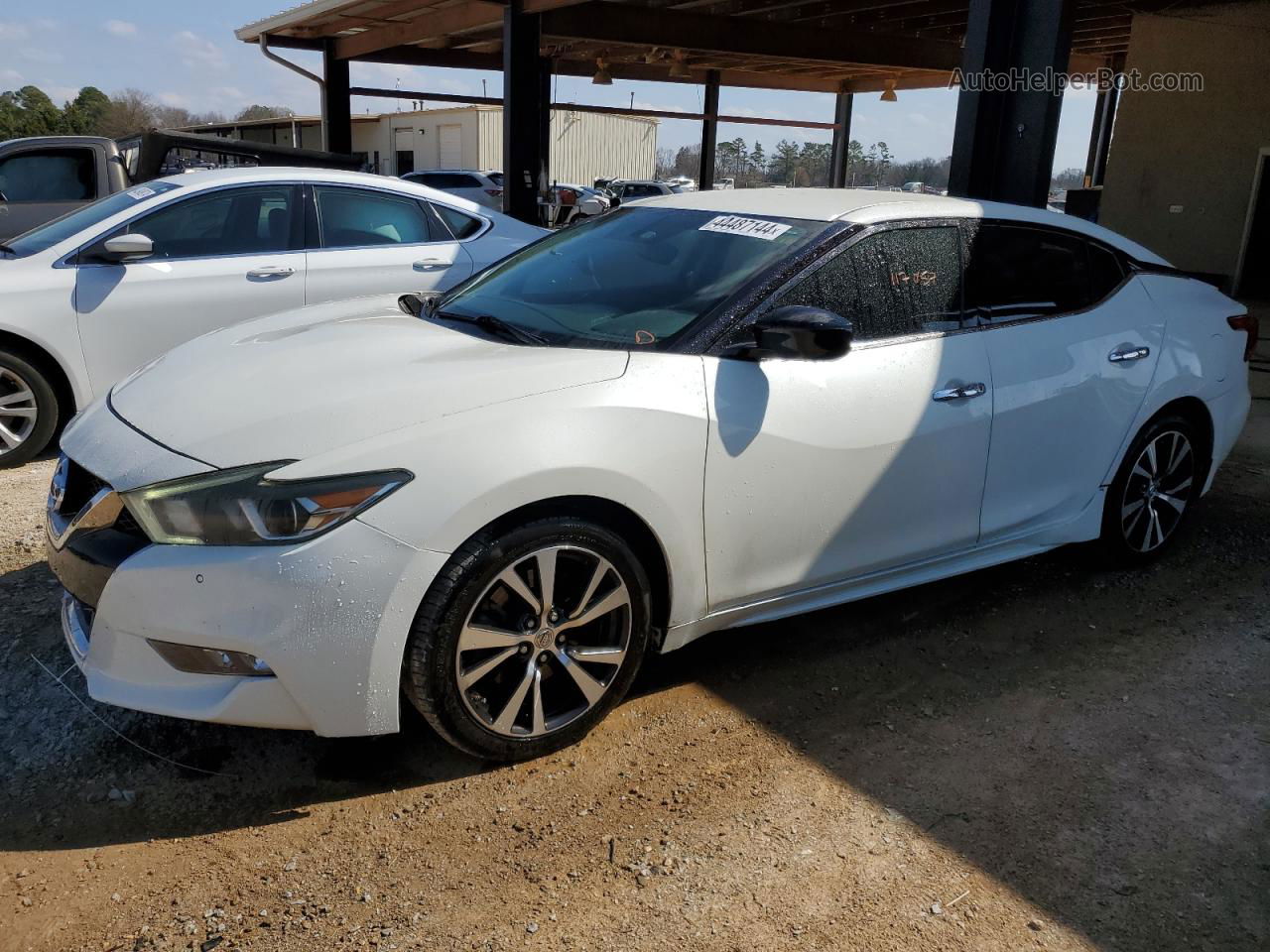 2016 Nissan Maxima 3.5s Белый vin: 1N4AA6AP8GC443947