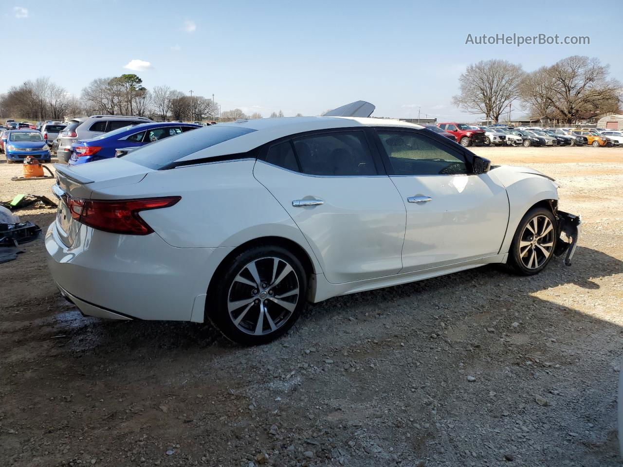 2016 Nissan Maxima 3.5s Белый vin: 1N4AA6AP8GC443947