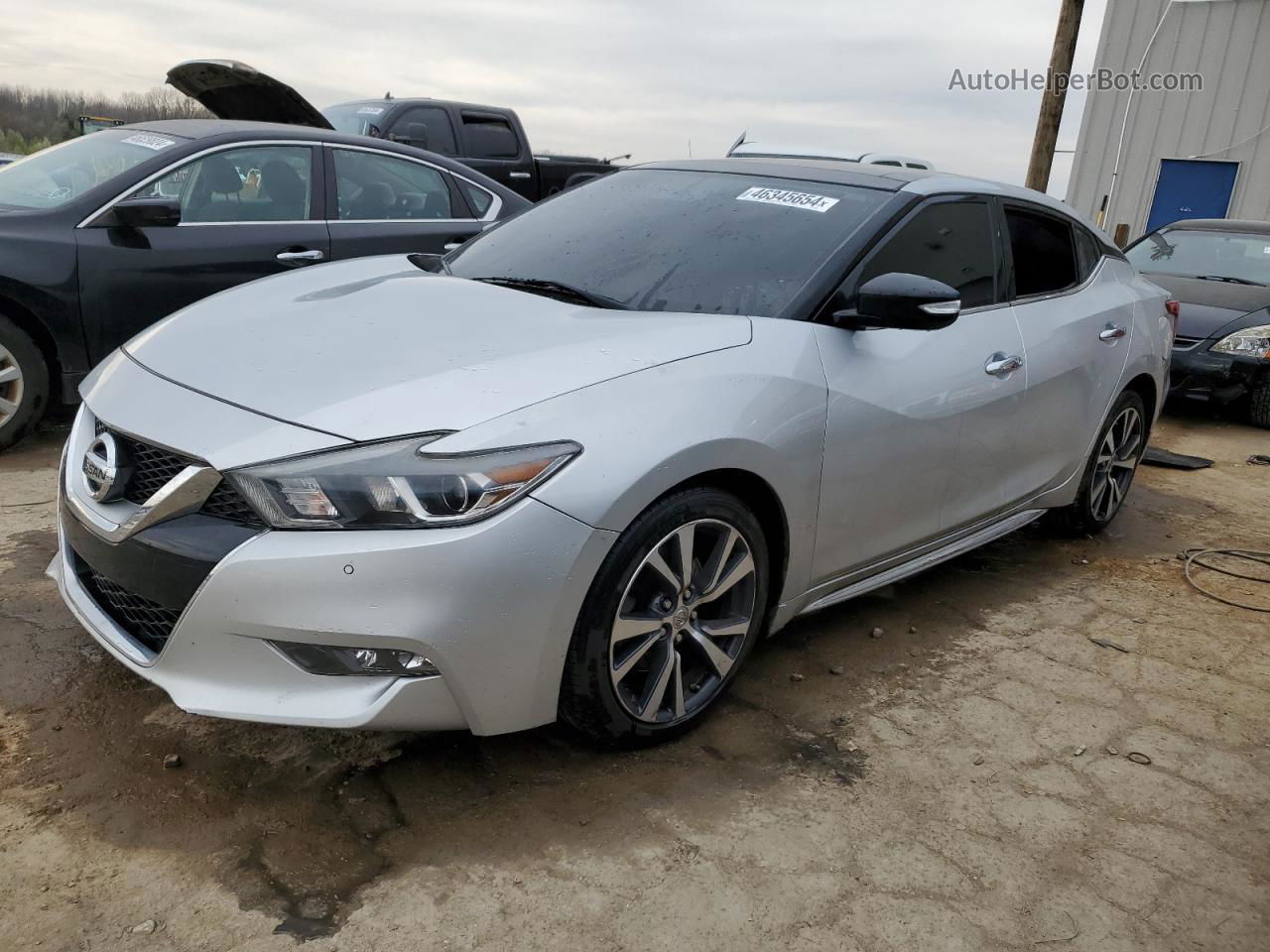 2017 Nissan Maxima 3.5s Серебряный vin: 1N4AA6AP8HC405846