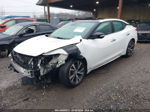 2017 Nissan Maxima 3.5 Platinum White vin: 1N4AA6AP8HC413218