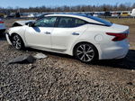 2017 Nissan Maxima 3.5s Белый vin: 1N4AA6AP8HC425921