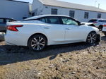 2017 Nissan Maxima 3.5s White vin: 1N4AA6AP8HC425921