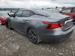 2017 Nissan Maxima 3.5s Угольный vin: 1N4AA6AP8HC440063