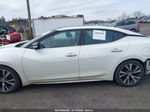 2017 Nissan Maxima 3.5 Platinum Белый vin: 1N4AA6AP8HC446378