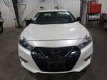 2016 Nissan Maxima 3.5s Белый vin: 1N4AA6AP9GC380258