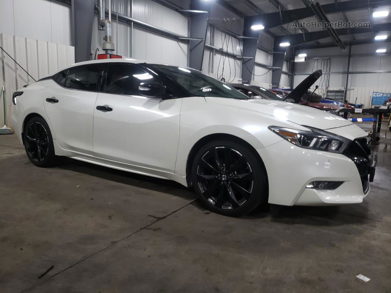 2016 Nissan Maxima 3.5s Белый vin: 1N4AA6AP9GC380258