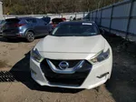 2016 Nissan Maxima 3.5s White vin: 1N4AA6AP9GC389719