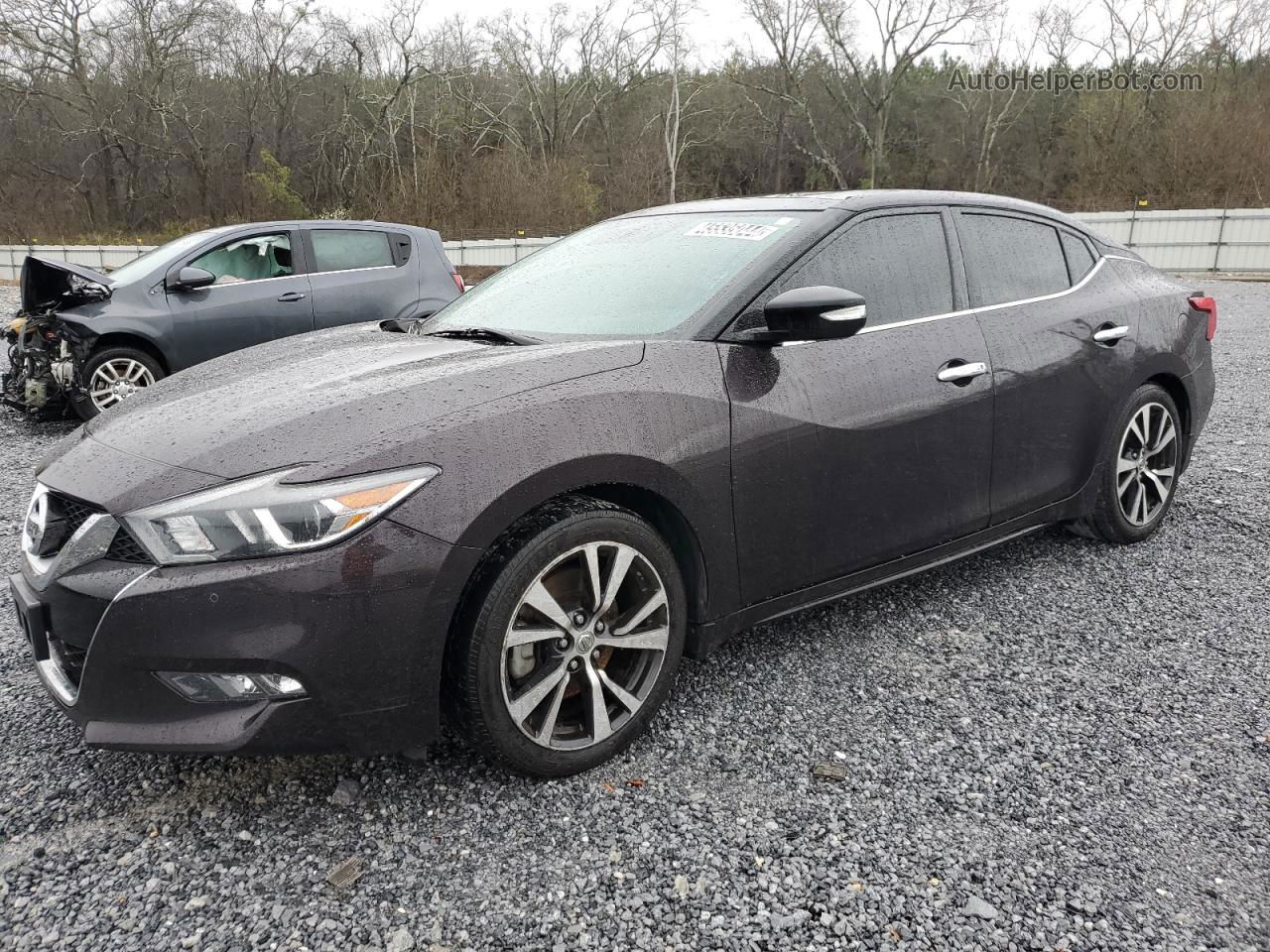 2016 Nissan Maxima 3.5s Black vin: 1N4AA6AP9GC396007