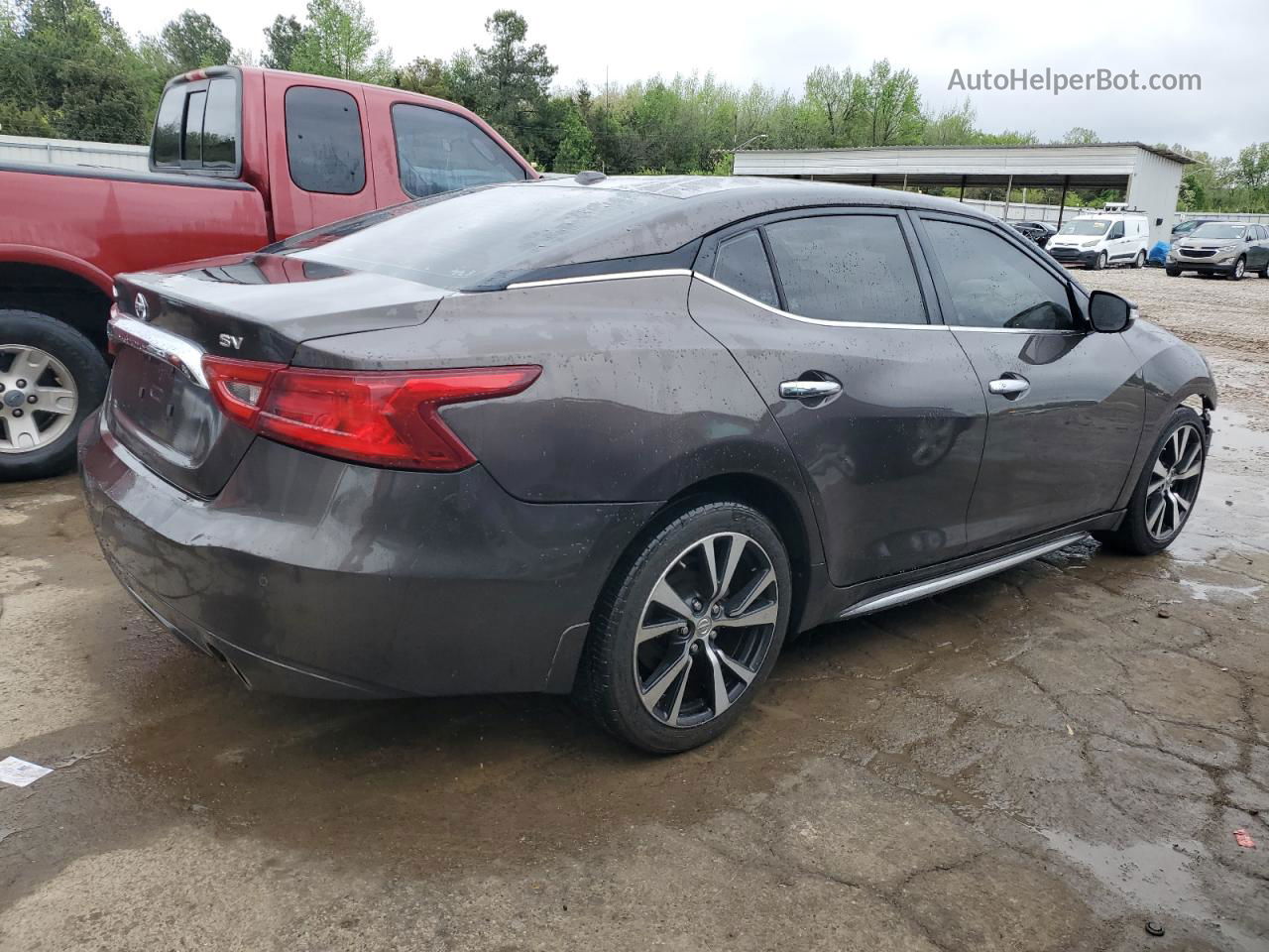 2016 Nissan Maxima 3.5s Gray vin: 1N4AA6AP9GC416269